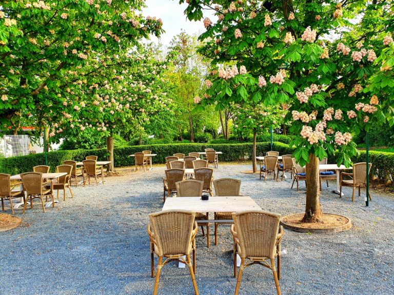 Biergarten im Restaurant Dalmatia